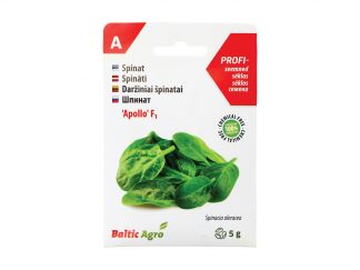 Daržiniai špinatai „Apollo“ F1. 100% be chemikalų