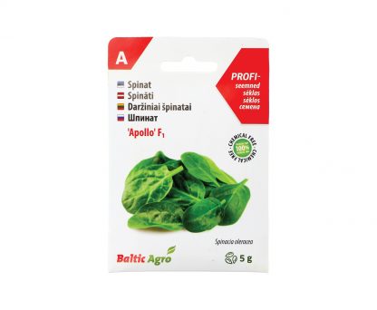 Daržiniai špinatai „Apollo“ F1. 100% be chemikalų
