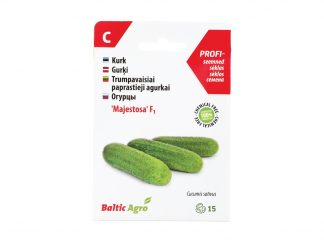 Trumpavaisiai paprastieji agurkųi „Majestosa“ F1 (Ankstyva veislė). 100% be chemikalų