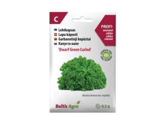 Garbanotieji Kopūstųi „Dwarf Green Curled“. 100% be chemikalų