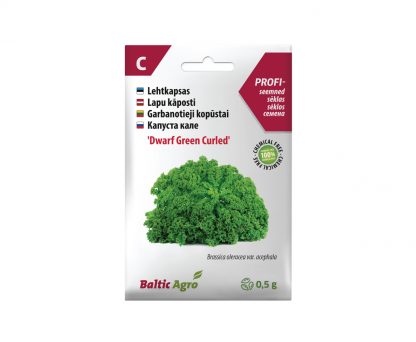 Garbanotieji Kopūstųi „Dwarf Green Curled“. 100% be chemikalų