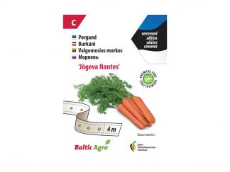 Valgomosios morkos „Jõgeva Nantes“ (sėklos juostoje).100% be chemikalų