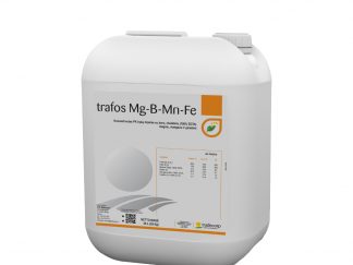 Trafos Mg-B-Mn-Fe 20l