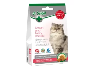 Dr. Seidel snack šlapimo sistemai